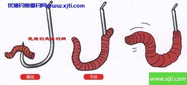 蚯蚓钓饵的几种挂钩方法图解（蚯蚓挂饵怎么挂及使用方法）