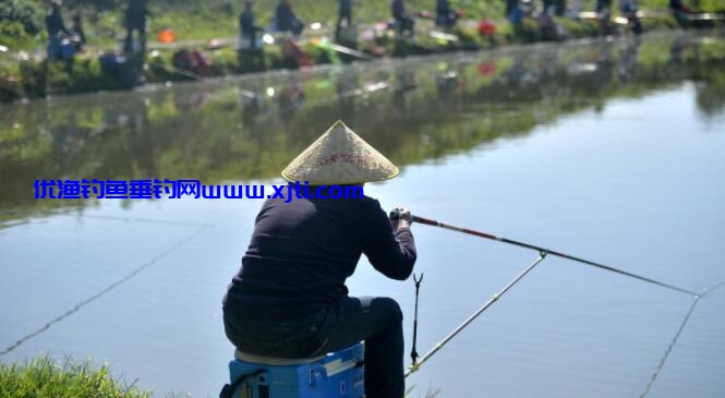 如何选择适合自己的钓箱，应该注意什么（新手钓箱推荐）