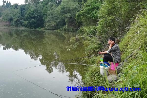 夏季钓鱼连竿技巧和方法（夏季天气和钓位选择好就可以连竿）