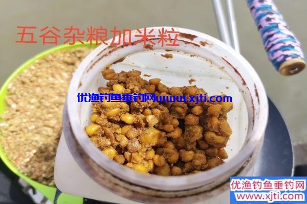 专钓鲤鱼的饵料（专攻鲤鱼不开口饵料配方）