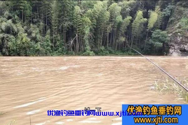 夏季大雨后钓鱼技巧方法（夏季大雨涨水后是钓大鱼最佳时机）