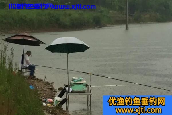 夏季钓深还是钓浅比较好（夏季早晚钓浅，中午钓深）