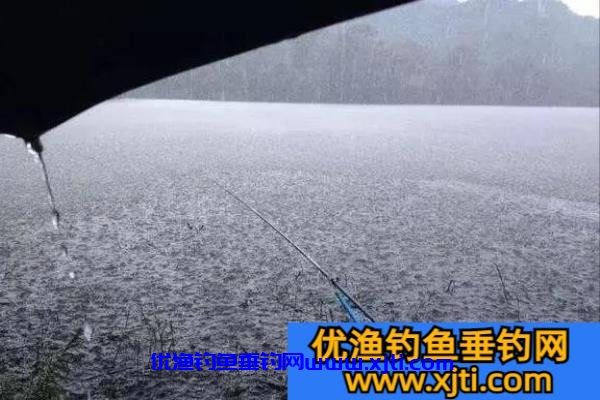 下雨天能不能钓到鱼吗（下雨天怎么钓鱼比较好）